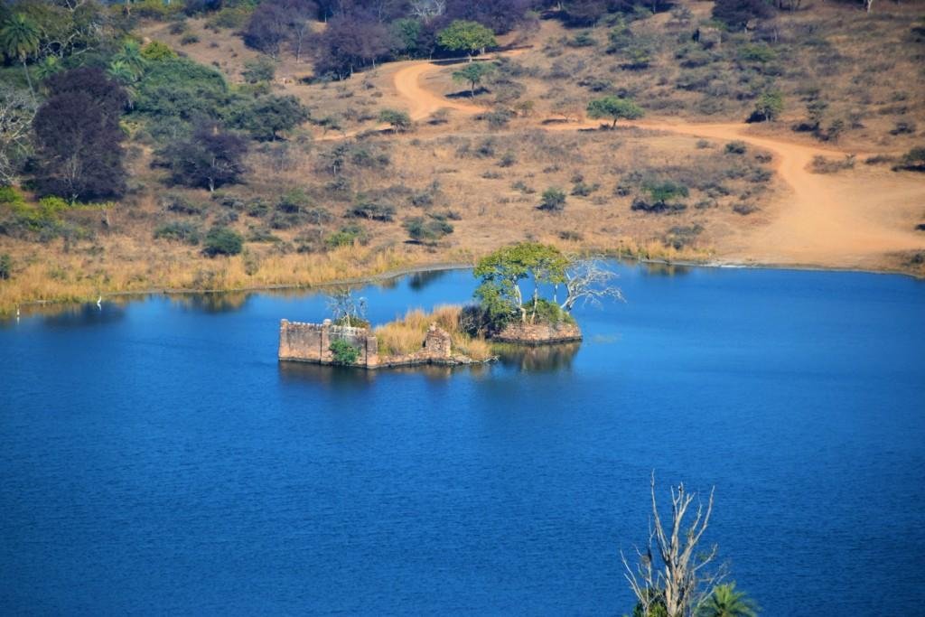 Ranthambore forest background scenic