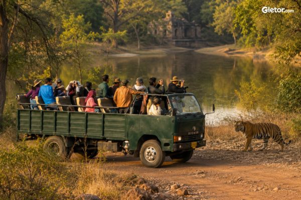 Canter Safari